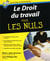 Le Droit Du Travail Pour Les Nuls