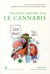 Regards croisés sur le cannabis