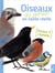 Les Oiseaux Du Jardin En Taille Reelle