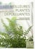 Les meilleures plantes dépolluantes
