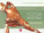 Yoga anatomie Tome 1 - les muscles