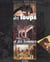 Des loups et des hommes