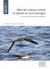 Atlas des oiseaux marins et cétacés du Sud Gascogne - de l'estuaire de la Gironde à la Bidassoa