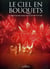 Le ciel en bouquets - l'histoire des feux d'artifices