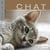 Une vie de chat