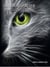 Le chat dans l'art contemporain