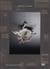Zac langdon pole s art journey constellations
