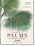 Martius. The Book of Palms