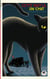Cette nuit-là... un chat