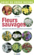 Fleurs sauvages : observer et reconnaitres 50 espèces de nos régions