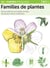 Familles de plantes