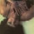 I'm Just A Prisoner - édition gatefold 180g