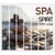 Spirit of spa - CD