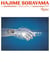 Sorayama: Light, Reflection, Transparency