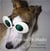 Pooches in shades