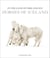 In the Land of Fire and Ice Horses of Iceland