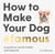 How to make your dog #famous