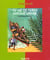 Tu ne te feras aucune image