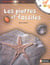 Les pierres et fossiles