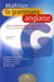 Maîtriser la grammaire anglaise - lycée et début des études supérieures (édition 2007)