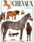 Les chevaux -prestige-