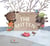 The mitten - la moufle