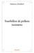 Tourbillon de pollens tunisiens