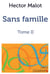Sans famille Tome 2