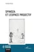 Spinoza et l'espace projectif