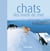 Chats des bord de mer