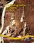 La photographie ancienne en asie