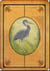 Messages de votre animal totem - coffret