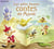 Les plus beaux contes du monde