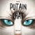 Putain de chat T12