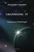 Channeling iv - contact avec le petit peuple