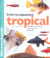 Creer un aquarium tropical