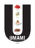 Umami : le cinquième goût savoureux