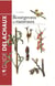 Guide des bourgeons et rameaux