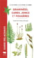 Guide Delachaux : Graminées, carex, joncs et fougères : Toutes les herbes d'Europe