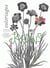 JARDINS, CARNET DE COLORIAGE