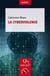 La cyberviolence