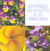 Les pensees, les violettes et les primeveres