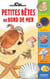 Petites betes du bord de mer
