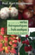 Tout savoir sur les vertus thérapeutiques des fruits exotiques - santé, beauté, longévité
