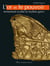 L'or et le pouvoir : Armement scythe et mythes grecs