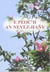 E peoc'h an nevez-hanv