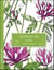 Coloriage zen - nature - carnet de coloriage