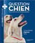 Question chien - mon guide vétérinaire