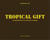 Tropical gift - the business of oil and gas in Nigeria