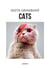 Insta grammar - cats